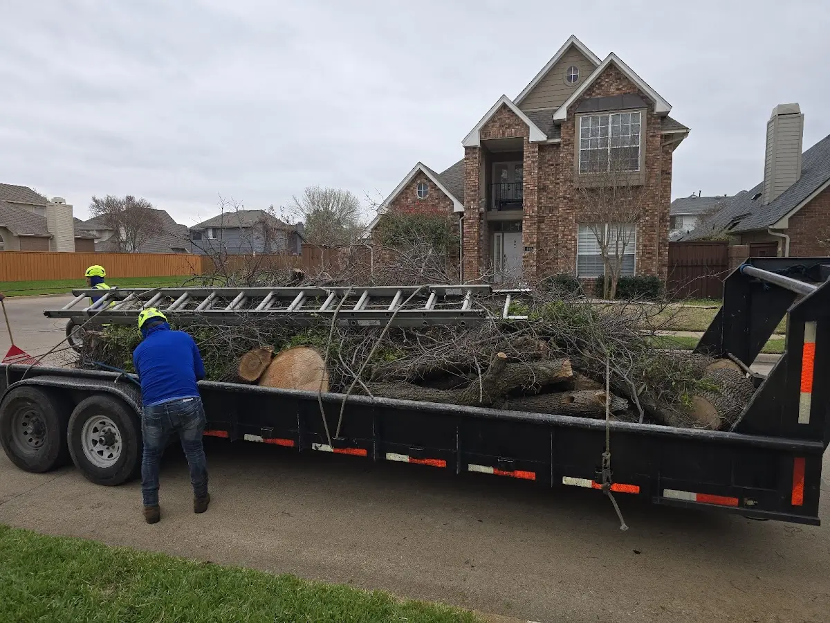 Expert Tree Pest Control with proper safety equipment in Bay Minette